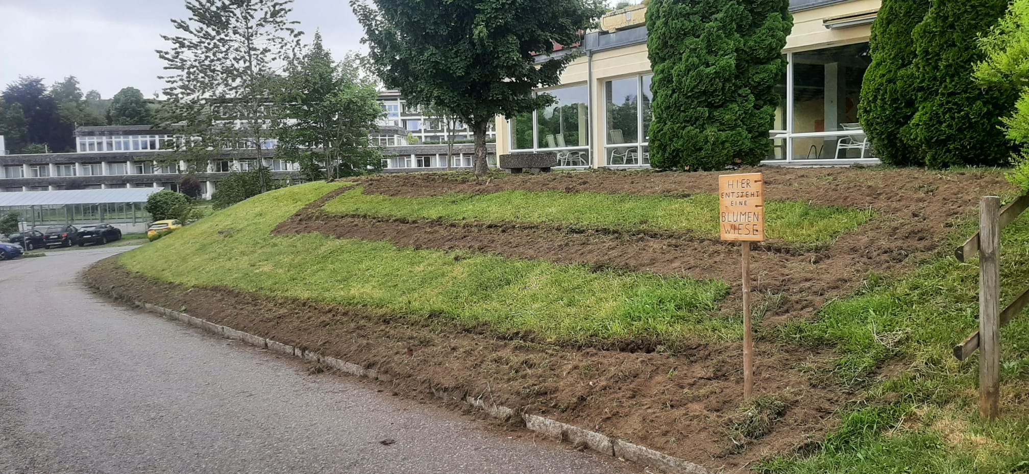 Neu angelegte Außenanlage